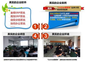 软件与信息服务 信息技术系中的核心驱动力